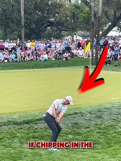 3 Essential Chipping Tips for Thick Rough Golfers