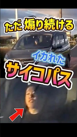 【セレナ】サイコパス野郎爆誕！安城から全国デビューへ！