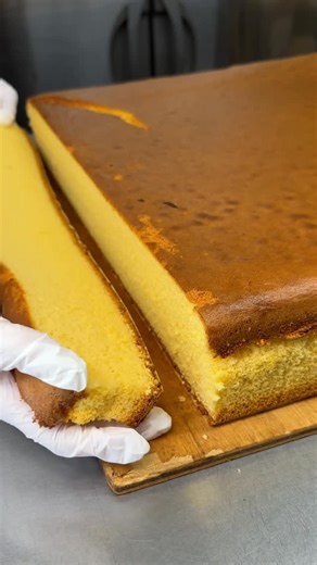 たもグルメ【Japanese food】 on Instagram: "ふわっふわの極上カステラ ◎ かすてらハーフ プレーン 1200円 …烏骨鶏という希少卵を使用したふわっふわのカステラ 全国に発送可能で店舗のオンラインショップから購入することができます！ 【店舗】pin・pur 【住所】岐阜県大垣市高屋町１丁目25−１ 【アクセス】大垣駅から徒歩5分 【営業時間】10:00-18:00 (日曜のみ17:00まで) 【定休日】月、火、水 【予算】￥1,000～￥2,000 【Fluffy Premium Castella】 ◎ Half Castella (Plain) — ¥1,200 …A super fluffy castella made with rare silkie eggs, prized for their rich flavor and smooth texture. Available for nationwide shipping — you can order directly from the shop’s official online store! 