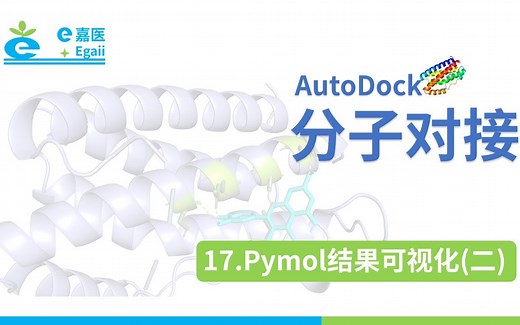 e嘉医 | AutoDock 分子对接：【17】Pymol结果可视化(二)