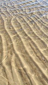 51 reactions · 5 comments | Enjoyed this naturally occurring meditation at historic Lewes Beach in Delaware last weekend. @cityoflewesbeachde #DelawareBeach #RipplesOfTheWater #OceanWater #BeachSounds #SandAndSea #WaterPatterns #NatureMeditation #BeachPhotography #WaterVideo | Lauren Curtis | Facebook