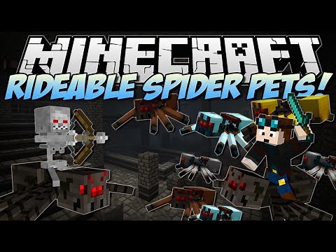 Minecraft | RIDEABLE PET SPIDERS MOD! (Tame Them, Ride Them & More!) | Mod Showcase
