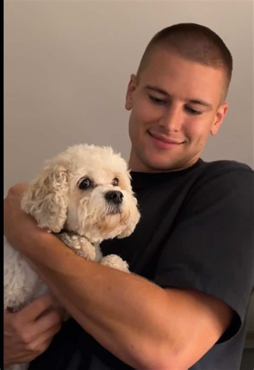 I promise you’re not ready for the plot twist at the end | dogs protecting other dog