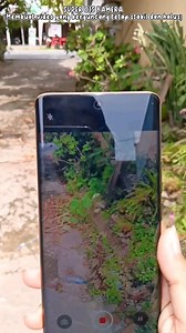 REVIEW KAMERA REALME 11 PRO 5G Spesifikasi : ✅ Dimensity 7050 5G Processor ✅ 100MP ProLight Camera ✅ 6.7inch Curved AMOLED Display ✅ 67W SuperVOOC Charge ✅ NFC Order Hubungi ☎️ 0899 7654 777 . Alamat Toko : Toko VIP GADGET Jalan Putri Daranante (Tokonya yg ada plang VIVO REALME XIAOMI)  Pontianak #realmepontianak #realme11pro #vipgadget #vippontianak #viral | VIP Gadget Store | Facebook