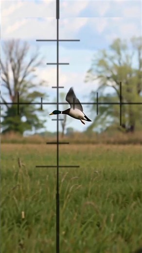 Epic Mallard Duck Hunt 🎯| Feather Explosion in Mid-Air #DuckHunting #airgunhunting