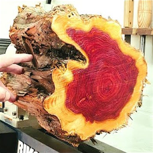 Woodturning a Rough Log into a Hollowform Vase | DIY & Crafts