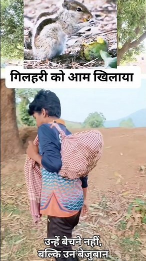 The Little Boy Who Feeds Hungry Birds & Animals with Mangoes ❤️ | A Heartwarming Story