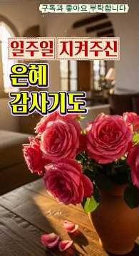 일주일 지켜주신 은혜 감사기도 #감사기도 #한주감사 #은혜감사 #기도낭독 #신앙일상