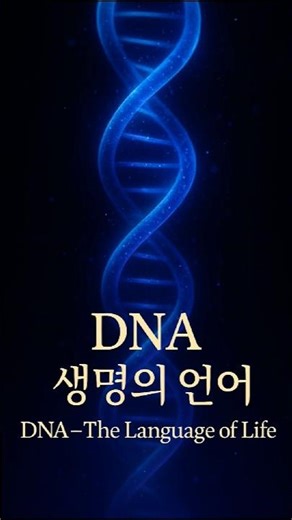 🧬 DNA – 생명의 언어 (The Language of Life)#DNA의언어 #생명의설계 #유전자의신비 #FaithAndScience #DivineOrder #생명의언어
