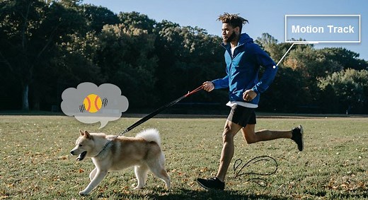 Top 10 Paid & Free Motion Tracking Software [Auto and Accurate]