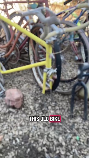 Rare Schwinn Bike Project: Starting Small