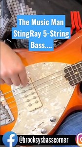 Music Man StingRay 5-String Bass - Tone Demo #shorts #musicmanbass #musicmanstingray