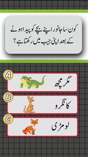 Animals Quiz: Test Your General Knowledge