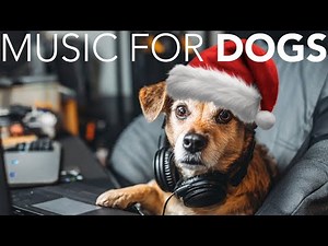 10 HOURS of Dog Christmas Music 🎅🦮 Sleepy Christmas Dreams for Calm Happy Dogs