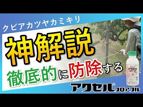 クビアカツヤカミキリとアクセルフロアブル【防除編】