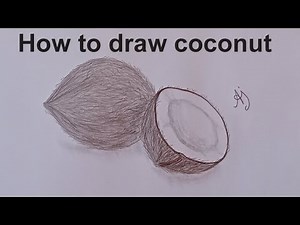 How to Draw a coconut with Pencil Sketch | Easy Step-by-Step Tutorial