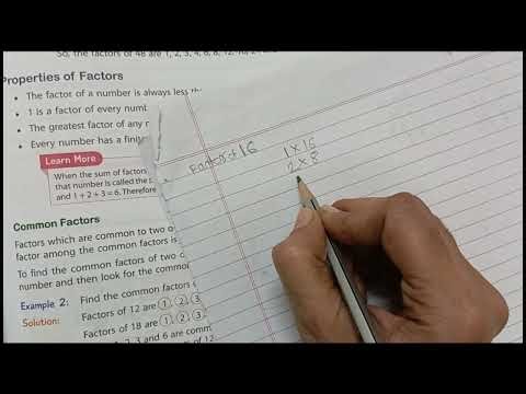 Concept of Factors | Class 4 CBSE Maths | Easy Explanation with Examples