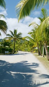 Discover beauty at every turn! Take a stroll through the lush pathways of The Edgewater Resort & Spa, where every step reveals a new slice of paradise 🌺🍃#EdgewaterRarotonga #EdgewaterRaro | The Edgewater Resort & Spa - Cook Islands