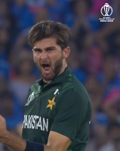 3.7M views · 117K reactions | Joint top wicket-taker  Enjoy all 16 of Shaheen Afridi's wickets so far at #CWC23  | ICC - International Cricket Council | Facebook