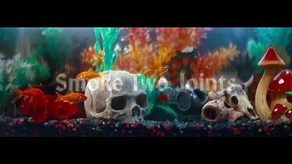 Sublime - Smoke Two Joints (Official Music Video)