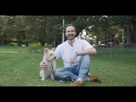 Introducing Charlie Pet Health
