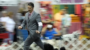 Fort Myers dog show returns with more than 100 breeds at Lee Civic Center