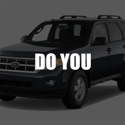 my life is a party #CapCut #2010fordescape #memes #fyp #viral | Fiesta Ford