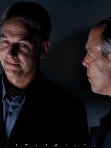 NCIS Characters and Their Dynamics