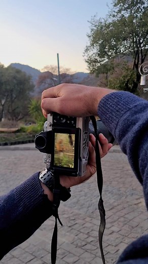 Exploring Stunning Wildlife Photography in Islamabad