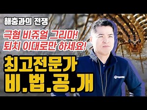 그리마(돈벌레) 퇴치는 원인인 '이것'부터 해결을 해야 그리마를 잡죠! | 최고 전문가의 그리마 퇴치 비법 공개!
