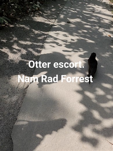 Mark loftus (@mark.loftus4)’s videos with original sound - Mark loftus