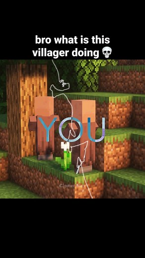 Minecraft Villager Singing | If the World is Ending Edit