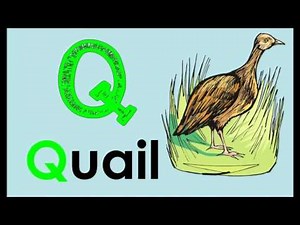 Animal Alphabet Song | Phonics | Kids