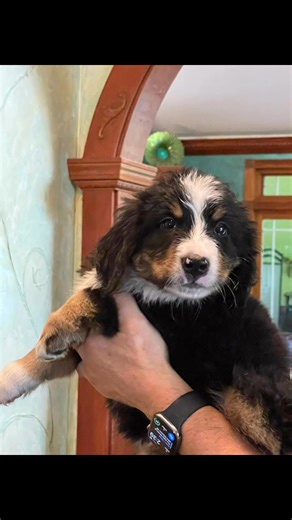 1.1K views · 78 reactions | Linda Foti on Reels | Facebook