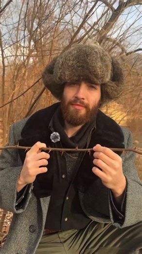 Levi O’Brien on Instagram: "Spines are modified leaves, thorns are modified branches, prickles are modified epidermis. There are many types of sharp features a plant can have. Understanding the origin of these features gives us a greater appreciation for the organization and morphology of the feature. Spines arise at the nodes in pairs on black locust (Robinia pseudoacacia) because they are modified stipules (leaf-like; loosely considered leaves). These paired spines are one of many useful featu