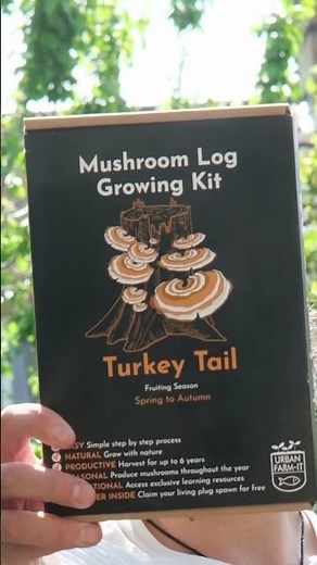 Turkey Tail Mushroom | Grow your own mushrooms!
