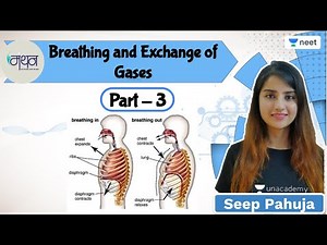 NEET: Breathing and Exchange of Gases | L3 | Manthan | Unacademy NEET | Seep Pahuja