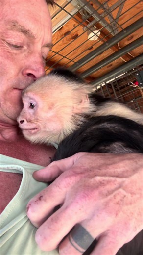 Back by popular demand… Wally & Chance… these are two that were supposedly not handleable and risky… you can see just how fierce they are! 😂 In all seriousness, they’re very capable of doing some real damage if they wanted to do so… but something I have learned… when you treat these guys with respect, honor, love and patience… you get a blessing in return. These two are 23 years old… and are starting to show great signs of improvement from a more well rounded diet and enrichment. Their “boobs” 