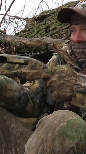 The Secret Behind a Turkey’s Gobble