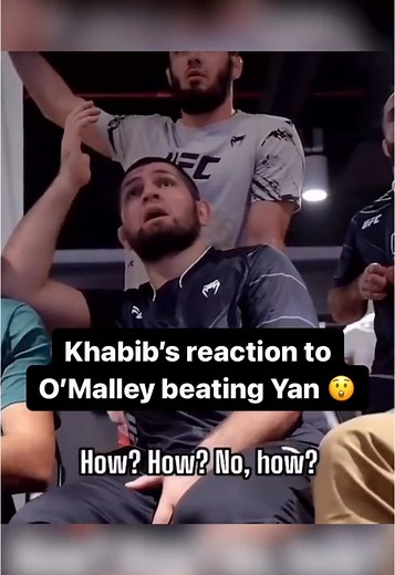 Sean O'Malley vs Merab: UFC 316 Highlights