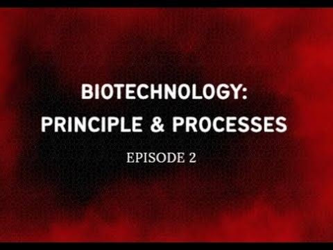 E2 – NCERT Highlights | Biotechnology Revise Smartly From NCERT | NEET Bio Made Easy 🔥