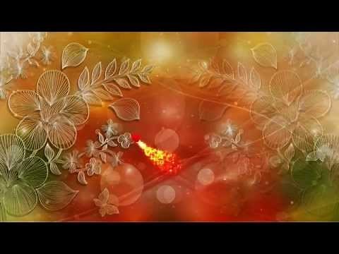 Free Love Motion Backgrounds Premium HD Video Wedding Background