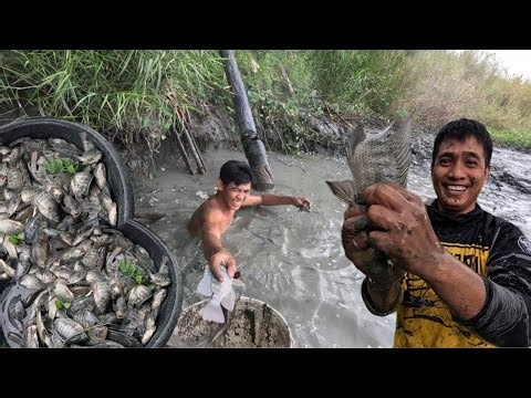 PAGLIMAS NG FISHPOND (ISA SA WATER SOURCE SA FARM)