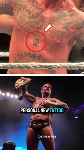 CM Punk gets new paw print tattoo to honor Larry💔