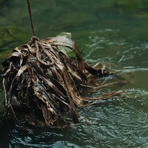 Paper mulberry is a traditional handmade paper made from the bark of the paper mulberry tree. | Maya Life Vlog