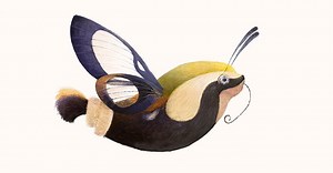 Hướng dẫn chuyển ảnh bitmap sang vector (Corel, AI, PS)