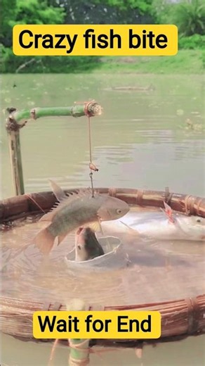 😱 CRAZY Fish Bites CAUGHT ON CAMERA! 🎣 You Won't Believe This! 🤯