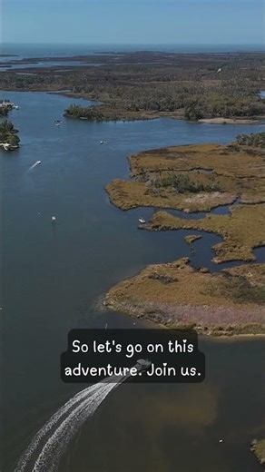The INCREDIBLE boat tour on Crystal River!!