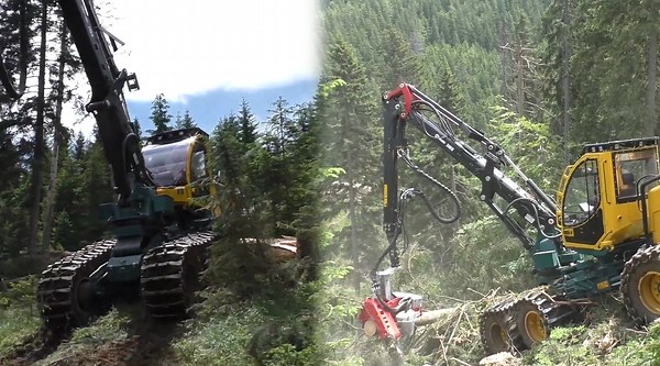 Precision Logging on Challenging Mountain Terrain