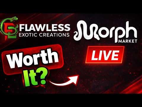 MorphMarket Live: Is It Worth It for Ball Python Breeders?